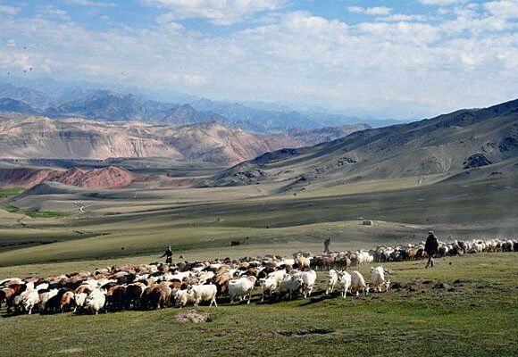 Çin’de Türk bayrağı tişörtlere YASAK