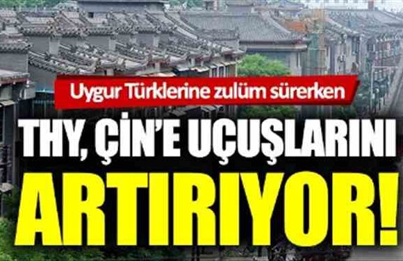 Çin’in Uygur Türklerine zulmü sürerken, THY, Çin’e uçuşlarını artırıyor
