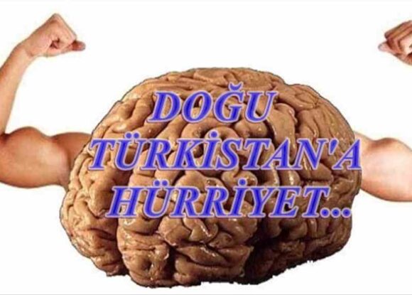 Hafıza katliamı