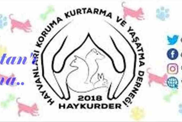 HAYKURDER’DEN ÇİN’E “YULİN’İ DURDURUN” ÇAĞRISI!