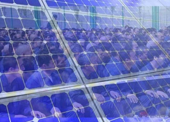 Çin güneş panellerini zorla çalıştırdığı Uygurlara ürettiriyor