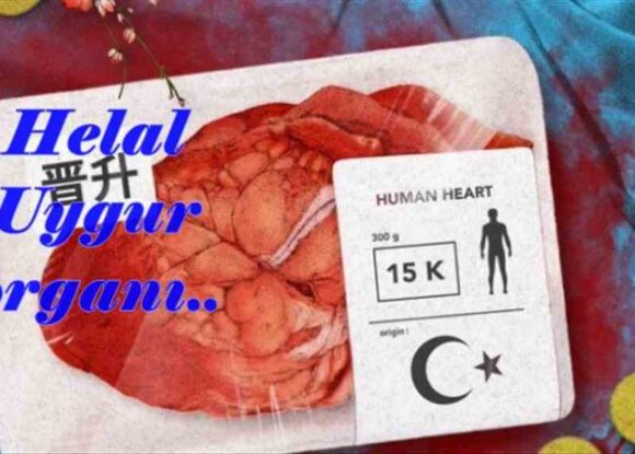 Çin yönetimi Uygur esirlerin organlarını satıyor