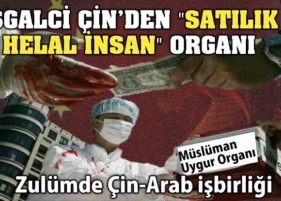 Zulümde Çin-Arab işbirliği: Helal Müslüman organı