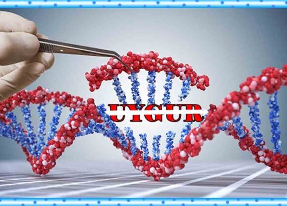 Sekiz ülkeden Uygur Türklerinin DNA’sını toplayan firmalara karşı yaptırım çağrısı