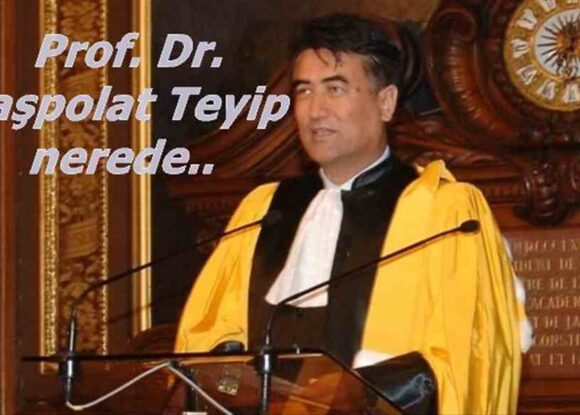 BM insan hakları uzmanlarından “Uygur Türkü Teyip’in yerini açıklayın” çağrısı