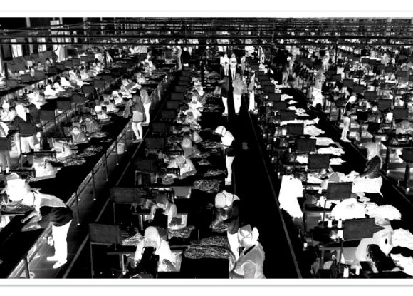 Doğu Türkistan’ın dış ticaret hacmi yüzde 28 arttı
